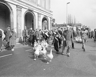 880563 Afbeelding van het drijven van een koppel ganzen door enkele Drentse ganzenhoedsters door de Wittevrouwenstraat ...